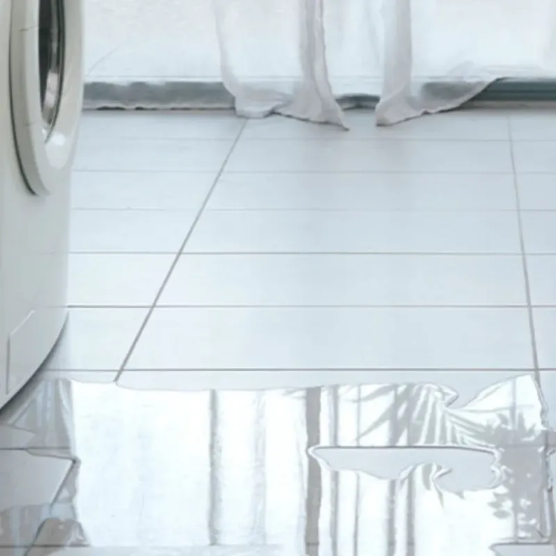 Appliance Leak Cleanup in Morgan County, IL