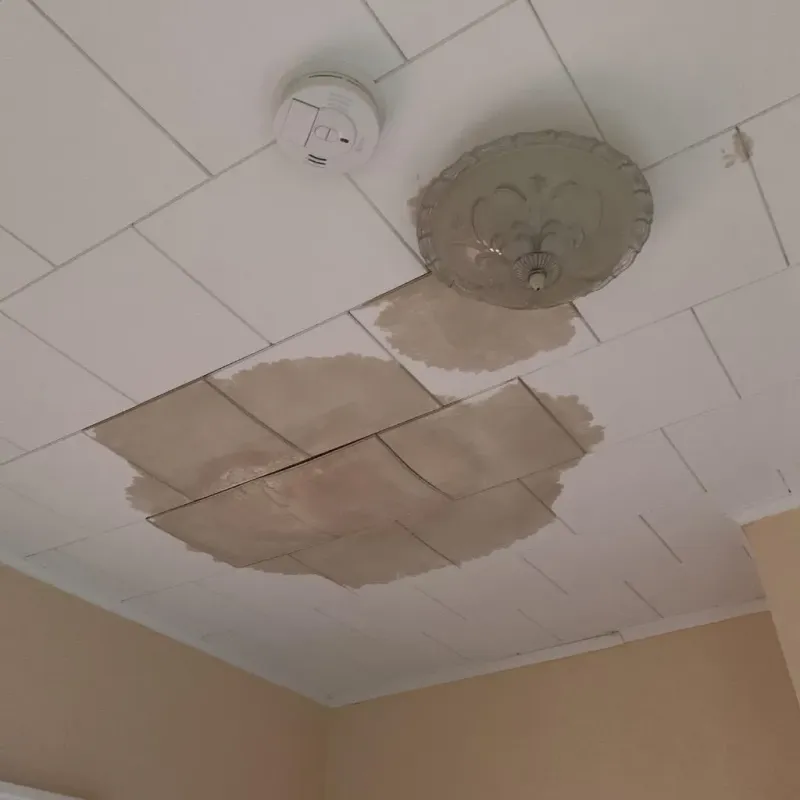 Ceiling Water Damage Repair in Morgan County, IL