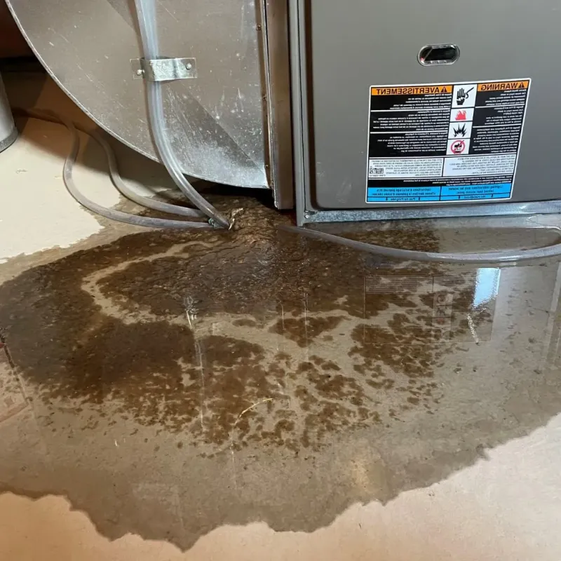 Pipe Burst and Leak Restoration in Morgan County, IL